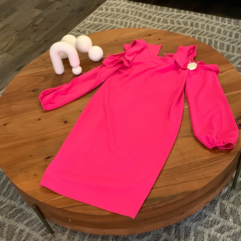 New Pink Blush Dress size L